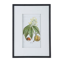 19.7x27.6' Botanical Wall Arts, Home Decor for Living Room,…