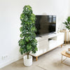 6ft Realistic Faux Indoor Tree