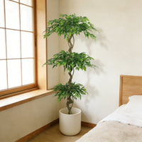 6FT Lifelike Artificial Ficus Tree with Black Pot for Home…