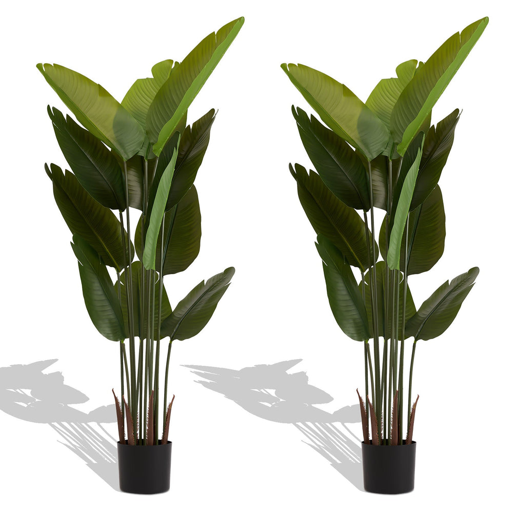 Artificial Bird of Paradise Plant 160cm Tall Faux Tropical…