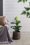 Small Square Cement Planter – Indoor/Outdoor