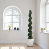 6ft Spiral Cedar Topiary Tree