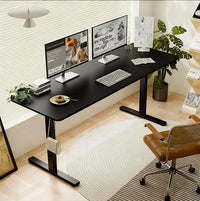 55"×24" Black Electric Standing Desk Height Adjustable Desk