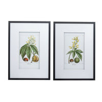 19.7x27.6' Botanical Wall Arts, Home Decor for Living Room,…
