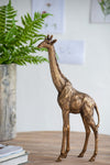 Giraffe Statuette – Animal Statue Decor